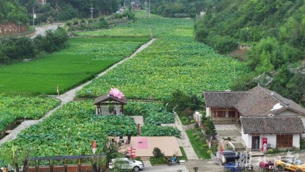 天弘配资 郧西县土门镇“生态园”解锁近郊游