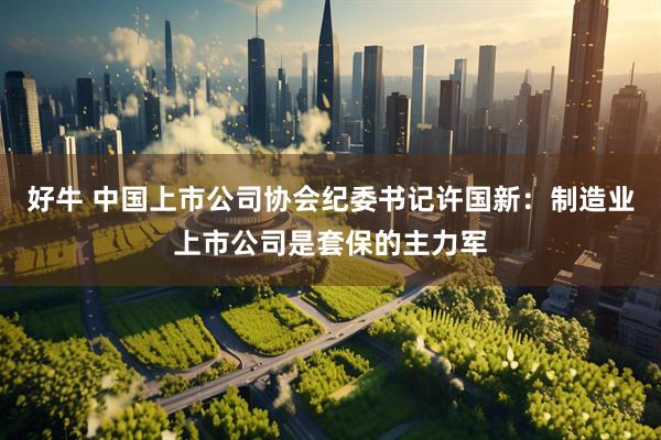 好牛 中国上市公司协会纪委书记许国新：制造业上市公司是套保的主力军